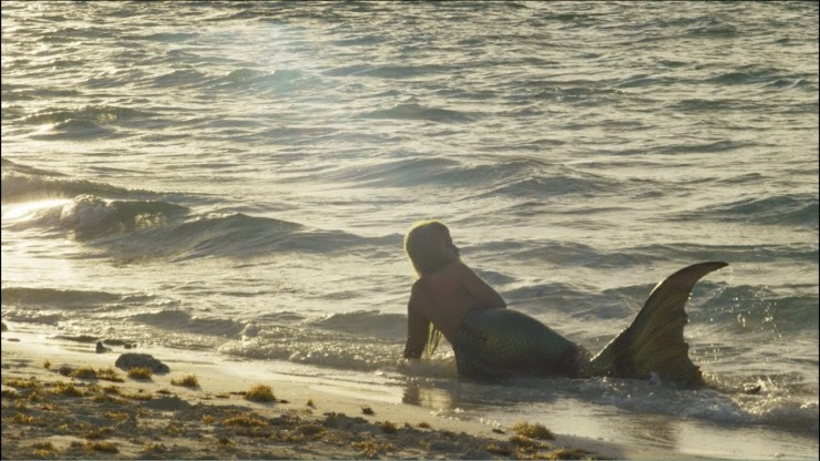 56569-image_5b41295c99621